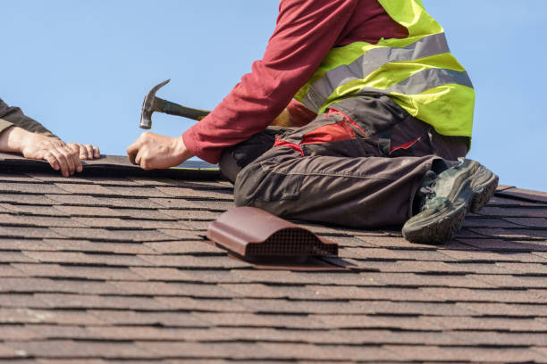 Best Roof Gutter Cleaning  in Evergreen, AL